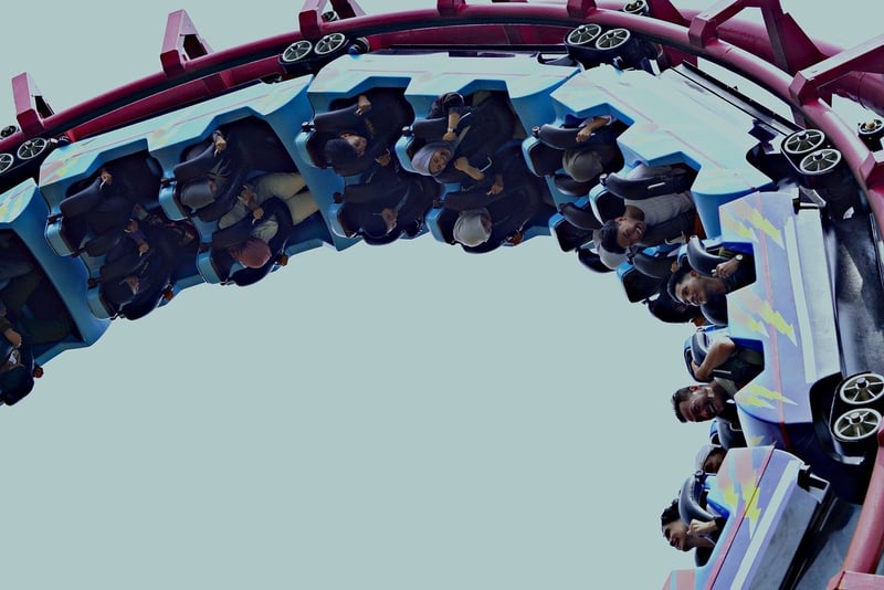 Roller Coaster Ride